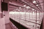 Cannabis Cultivation